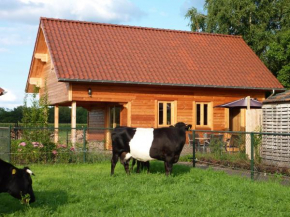 Отель B&B De Lakenvelder  Венхорст